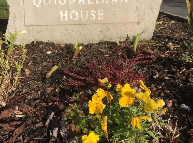 Nocleg ze śniadaniem Quignalegan House Ballina (Mayo)